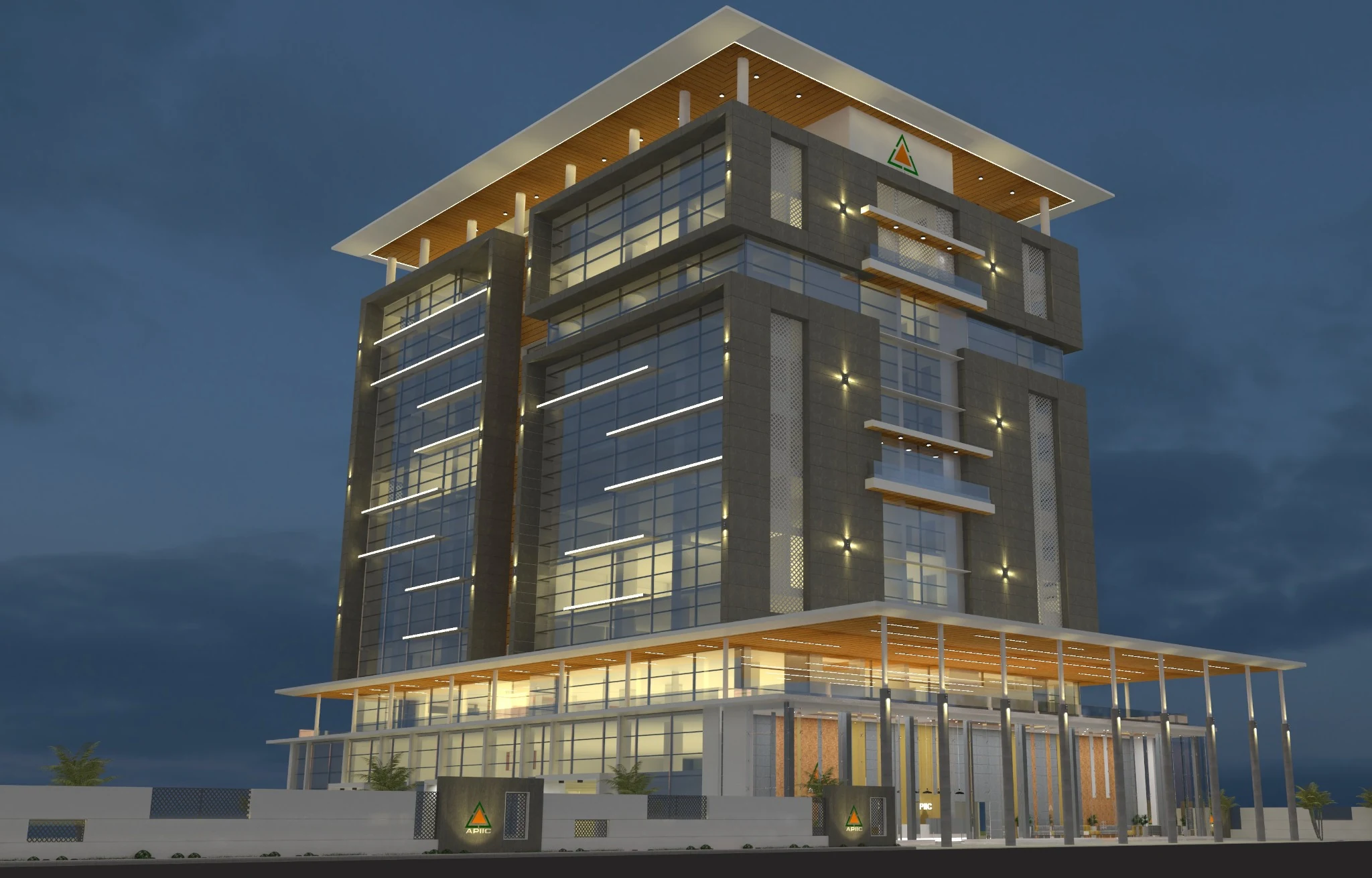 APIIC gallery image 3